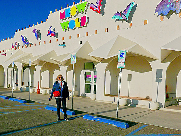 Patty at the Meow Wolf Museum