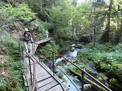 Coming back down the trail