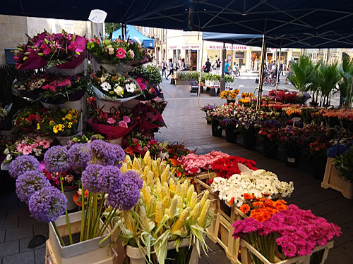 Flowers in Beetoven Square