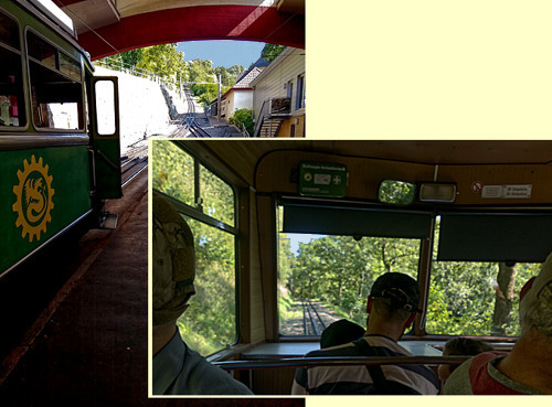 Cog Railway - looking up