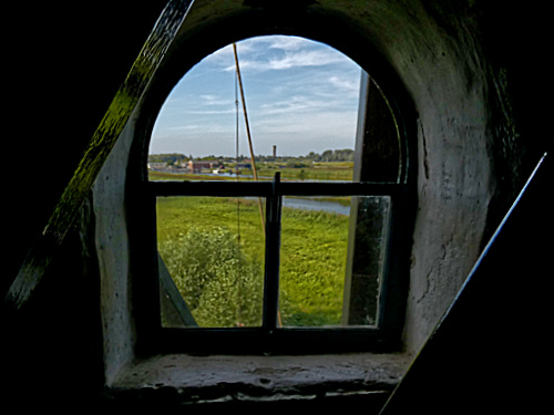 looking out a window