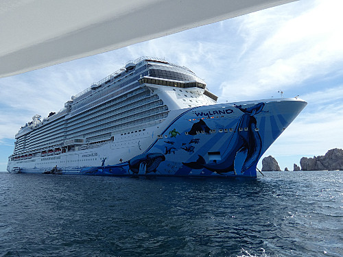 Norwegian Bliss