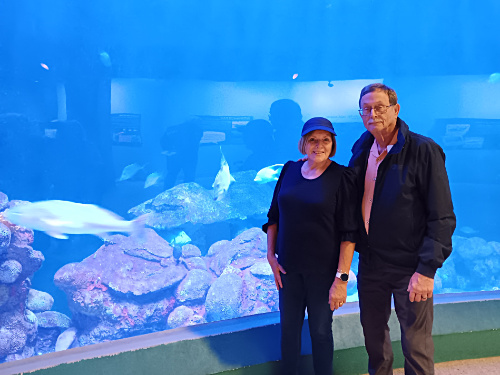 Museum near ship dock