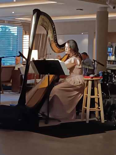 Harpist for entertainment
