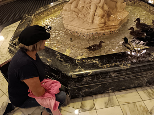 Patty with the Peabody Ducks
