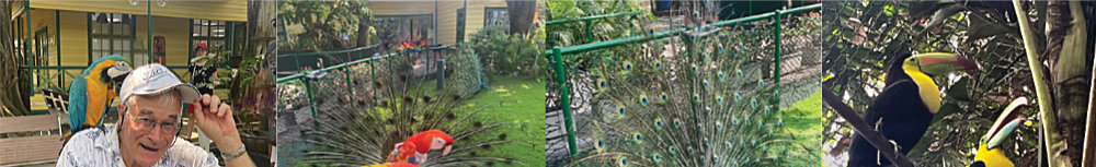 Steve and his birds in the sanctuary
