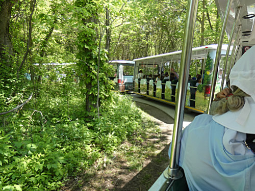 Tram from Visitor's Center